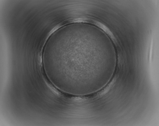 X0000112951234200908311503