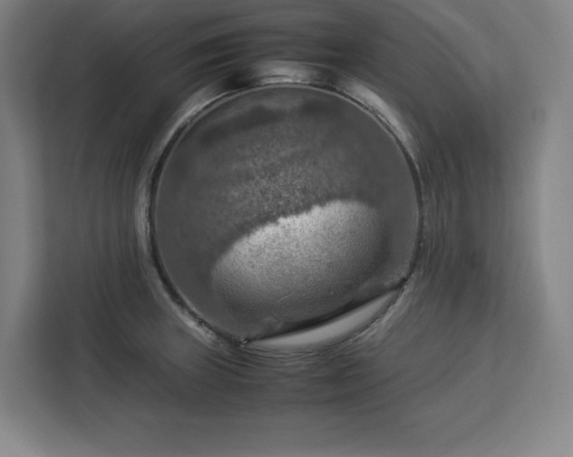 X0000112951235200908311503