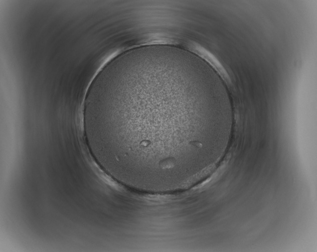 X0000112951236200908311503