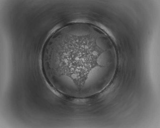 X0000112951237200908311503