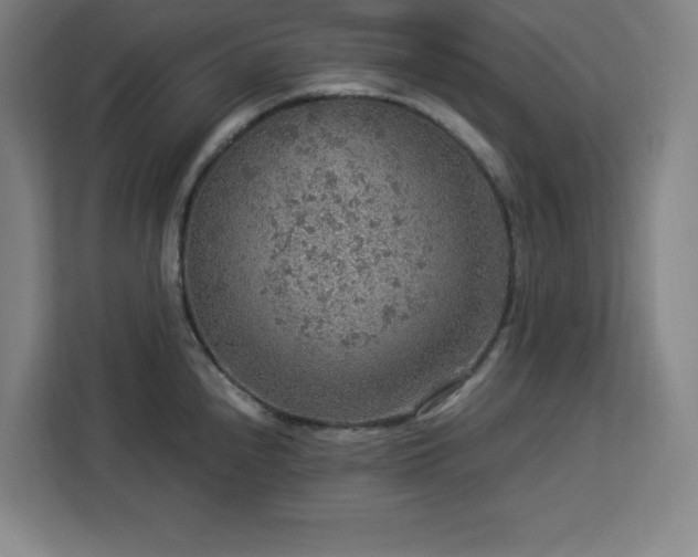 X0000112951240200908311503