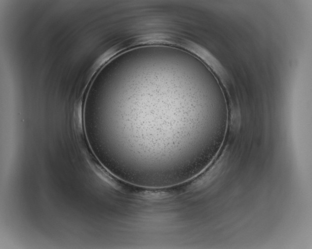 X0000112951242200908311503