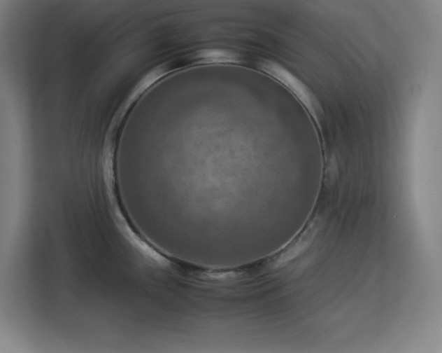 X0000112951243200908311503