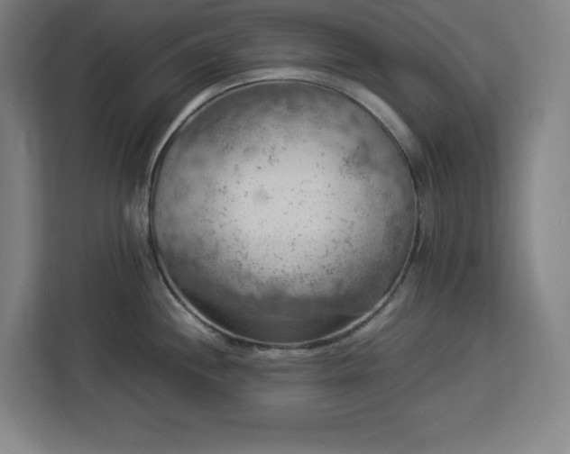 X0000112951244200908311503