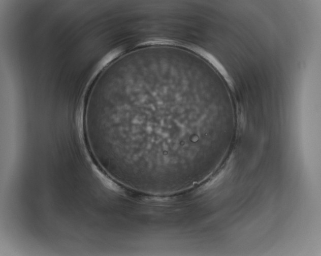 X0000112951245200908311503