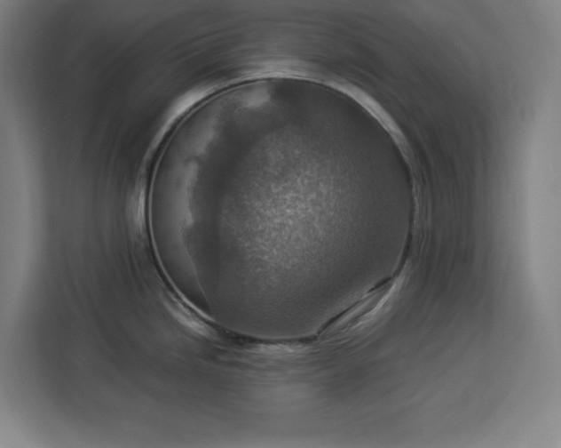 X0000112951246200908311503