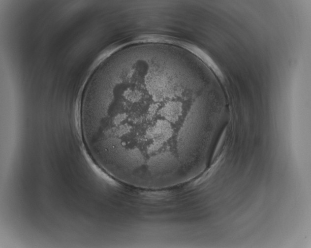 X0000112951247200908311503