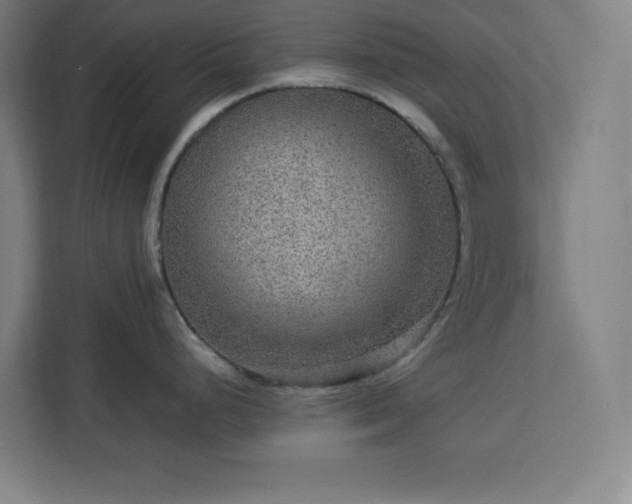 X0000112951248200908311503