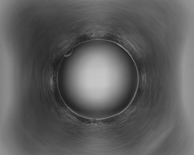 X0000112951250200908311502