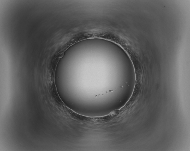 X0000112951253200908311502