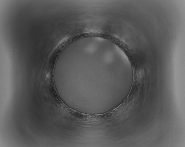 X0000112951254200908311502