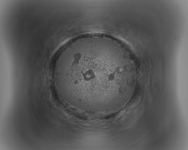 X0000112951255200908311502