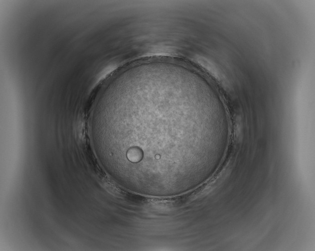 X0000112951258200908311502