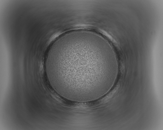 X0000112951259200908311502