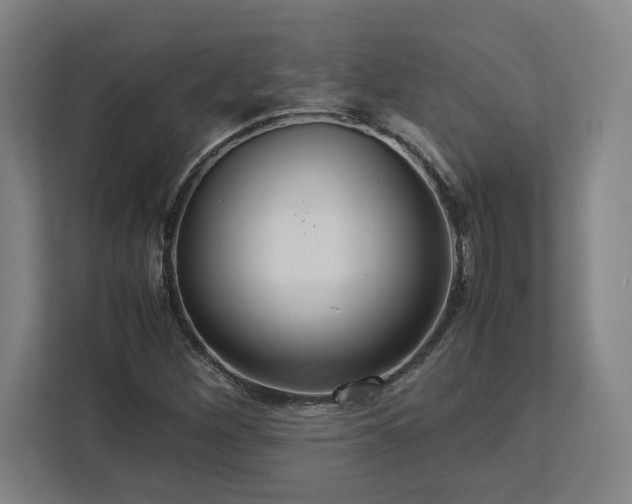 X0000112951260200908311502