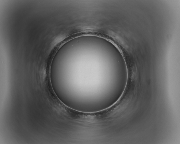 X0000112951261200908311502