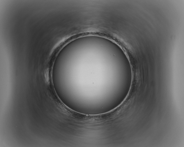 X0000112951262200908311502