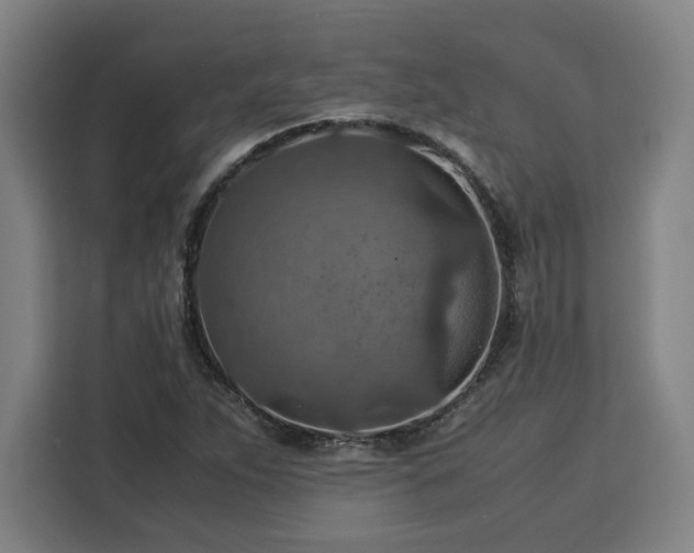 X0000112951263200908311502