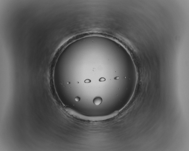 X0000112951264200908311502