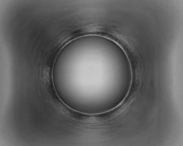 X0000112951265200908311502