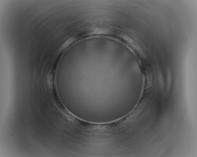 X0000112951266200908311502