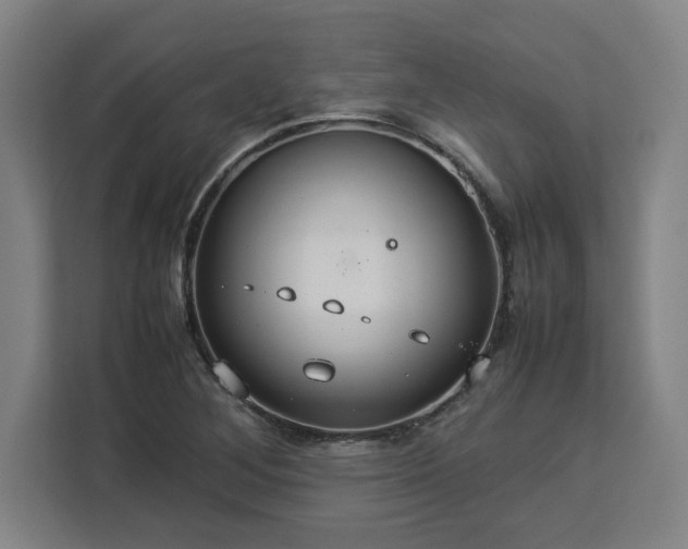 X0000112951268200908311502