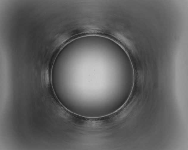 X0000112951269200908311502