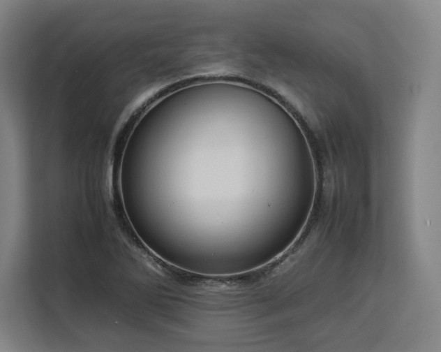 X0000112951270200908311502