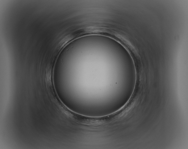 X0000112951273200908311502