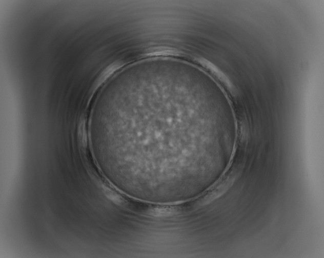 X0000112951274200908311502