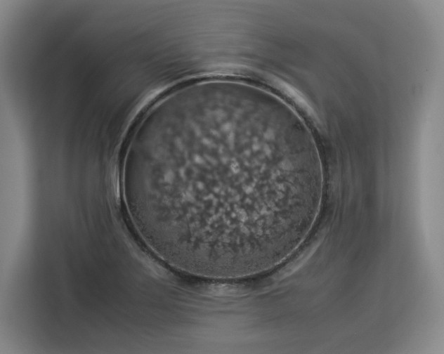 X0000112951275200908311502