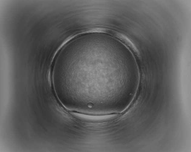 X0000112951276200908311502