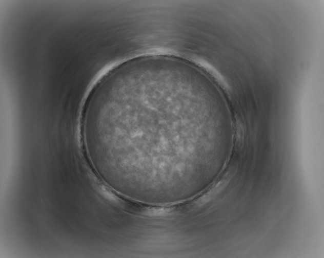 X0000112951278200908311502