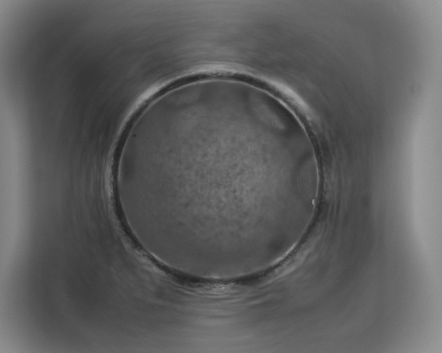 X0000112951279200908311502