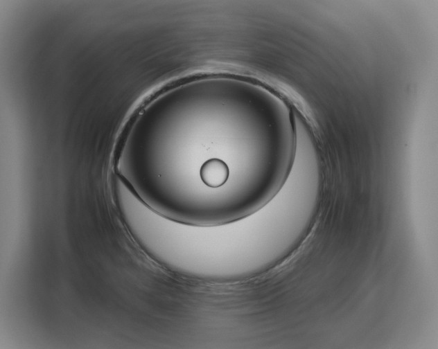 X0000112951280200908311502