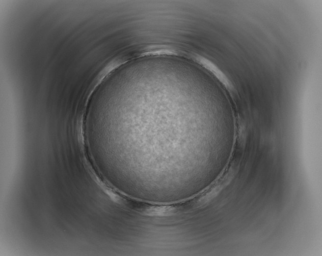 X0000112951282200908311502