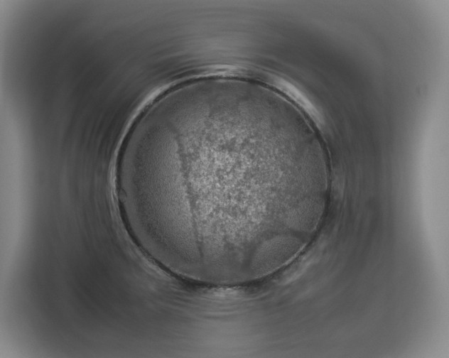 X0000112951283200908311502