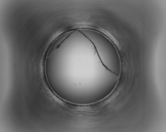 X0000112951285200908311502