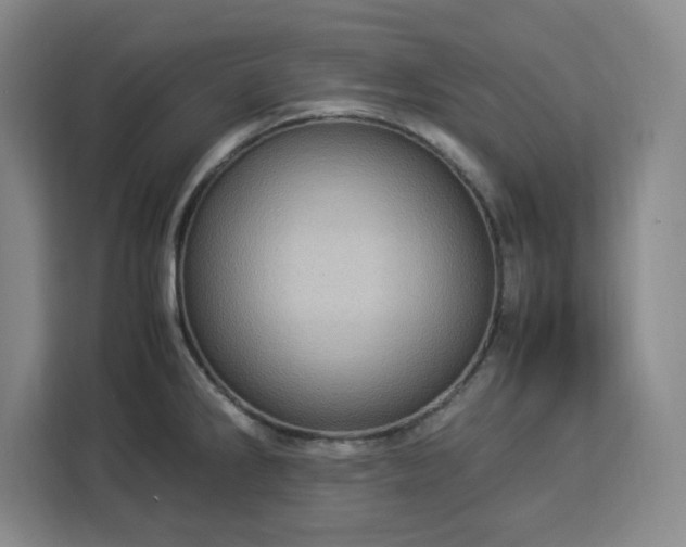 X0000112951286200908311502