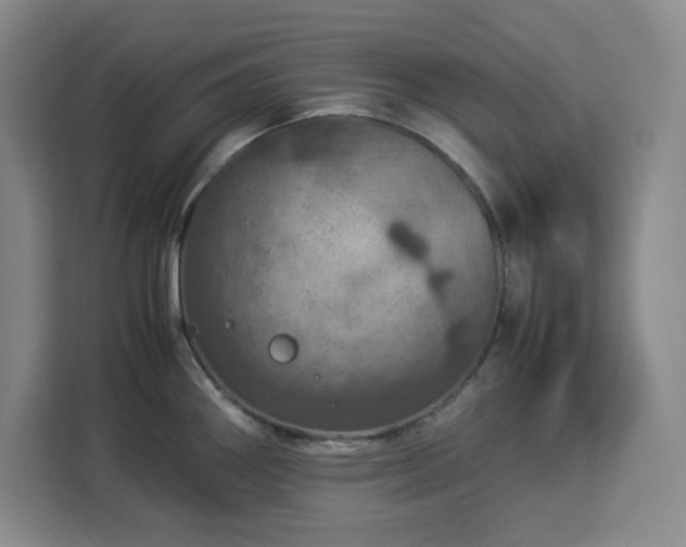 X0000112951290200908311502