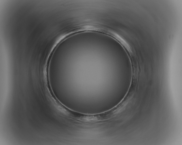 X0000112951291200908311502