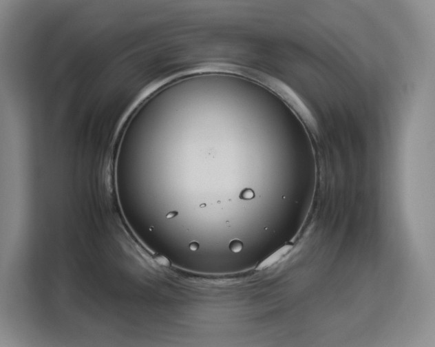 X0000112951292200908311502