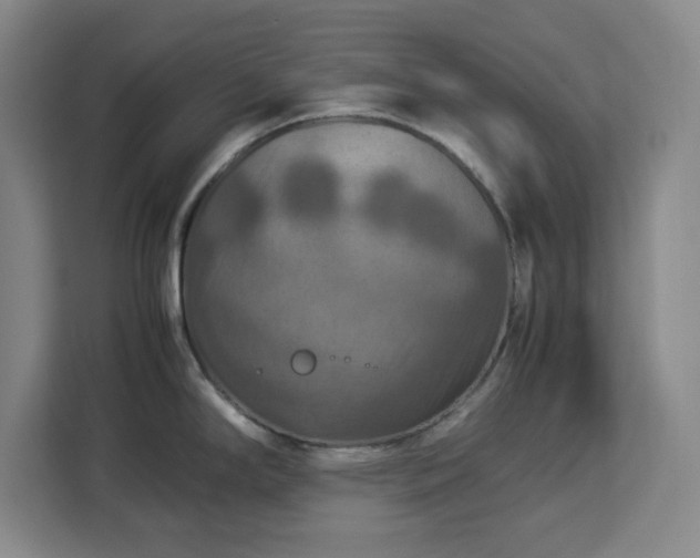 X0000112951294200908311501