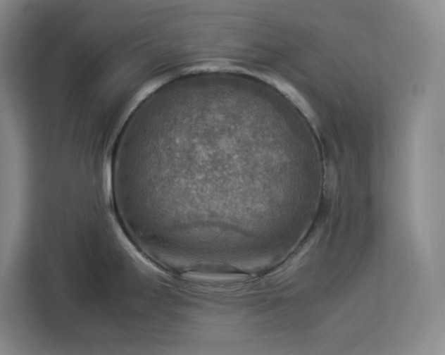 X0000112951295200908311501