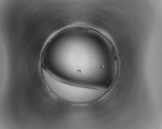 X0000112951296200908311501