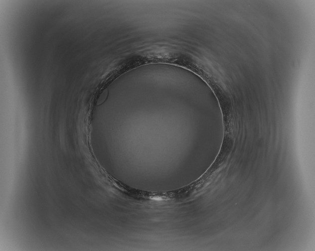 X0000112951297200908311501