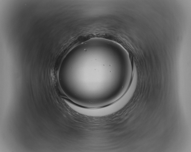 X0000112951298200908311501