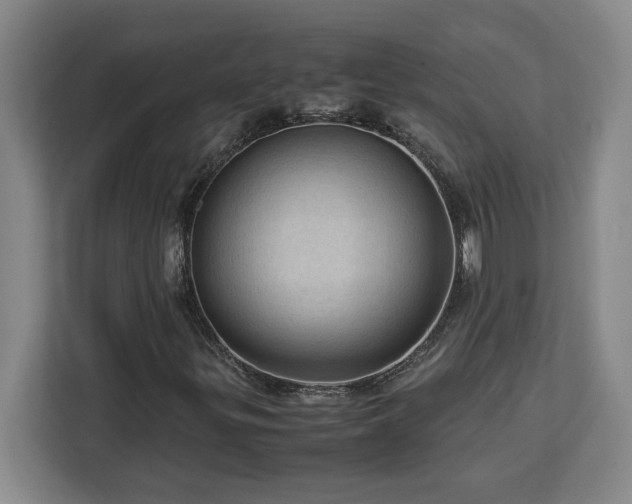 X0000112951299200908311501