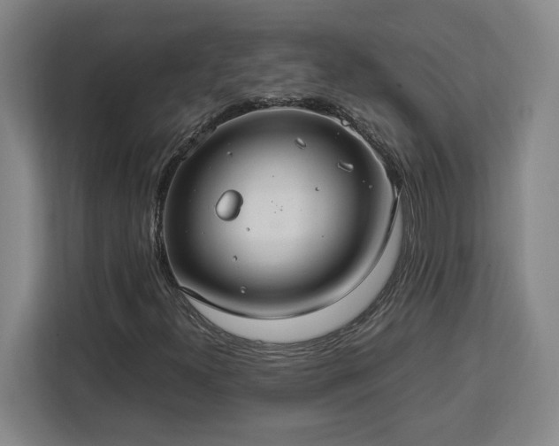 X0000112951300200908311501