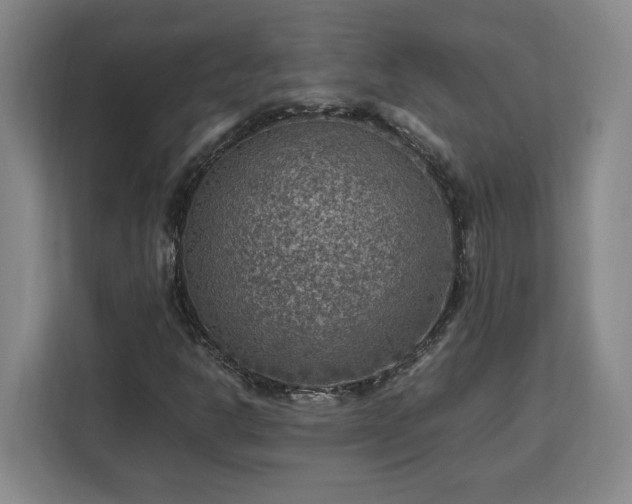 X0000112951302200908311501